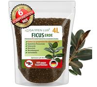 Garten Lux Ficus Terre 4 l - Terreau spécial 6 en 1 sans tourbe - Contre les sciarides - Pour Ficus Benjamina, Elastica, Lyrata, Pumila, Carica, Microcarpa, Alii, Benghalensis et plus encore