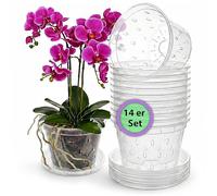 Garten lux Lot de 14 pots à orchidée transparents Ø 14 cm, 1 l, avec | Lot de 14 pots à orchidées transparents - Diamètre : 14 cm - Avec trou de drainage et soucoupe