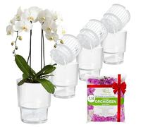 Garten lux Lot de 4 Pots pour orchidées Ø13 cm + substrat 7,5 L | Arrosage automatique, pot intérieur 1,35 L avec mèche et drainage, idéal pour toutes les orchidées d’intérieur.