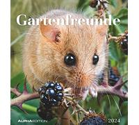 Gartenfreunde Calendrier 2024 cartes postales 16 x 17 cm - Animaux - À poser ou à suspendre - Calendrier mensuel - Gadget - Souvenir Alpha Edition