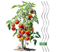Gartenwelt Riegelsberger Lot de 10 spirales pour tomates - Hauteur : 150 cm - En acier - Diamètre : 5,6 mm