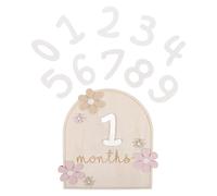 GARVALON Cartes Étapes Mensuelles Bébé Double Face en Bois Fleurs Marguerite - Panneau Suivi Croissance -Né - Accessoire Photo Naissance Unique pour Souvenirs Shower