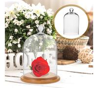 GARVALON Couvercle en Verre Transparent pour Fleurs Stabilisées Dôme Décoratif Lumineux Couvercle Accessoire Décoration Maison et Bureau Exposition Fleurs Éternelles et Micro-Paysages