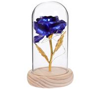 GARVALON Lampe LED Décorative Rose Éternelle Bleue sous Dôme en Verre, Fleur Préservée Artisanale sans Piles, Ornement Floral pour Décoration Intérieure, Présent Romantique pour Couple,