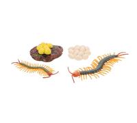 GARVALON Modèle Éducatif du Cycle de Vie du Mille-Pattes 4 Pièces, Figurines Réalistes pour Garçon et Filles, Pédagogique Interactif pour Éveil et Apprentissage Préscolaire, Développement