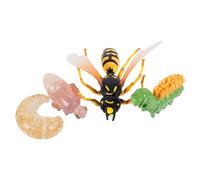 GARVALON Modèles de Jouets D’évolution de Guêpe pour Garçon et Filles - Kit 4 Pièces - Modèle de Croissance Réaliste - Jeu Éducatif Scientifique - Apprentissage Cognitif et Décoration Intérieure