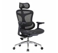 Garvee Fauteuil De Bureau Ergonomique Grand Format avec Accoudoirs 3D - Siège Mesh Respirant à Soutien Lombaire Dynamique - pour Bureau Et Télétravail - Cadre Noir