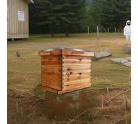 Garvee Kit Apiculture Complet pour Débutant - Ruche Langstroth 10 Cadres en Bois de Cèdre - 1 Corps Profond & 1 Moyen avec Cire d’Abeille - Assemblage Facile - Joints à Queue d’Aronde - Conception
