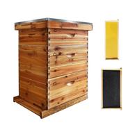 Garvee Kit de démarrage apiculture Langstroth 10 cadres - 2 hausses profondes, 1 moyenne - Cadres et fondations en cèdre enduits de cire d’abeille - Pour apiculteurs débutants et pros - Ruche