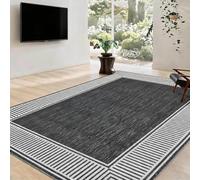 Garvee Living Room Rug 4x6, Foldable Printed Carpet for Living Room