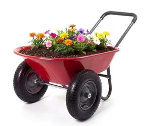 GarveeHome Brouette avec 2 Roues, Grande brouette de Jardin 272 kg