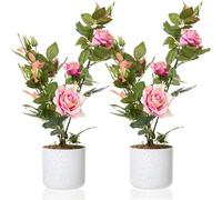 GarveeLife Lot de 2 rosiers artificiels en Pot avec Tronc Naturel - 54 cm - pour Appartement, Bureau et décoration intérieure