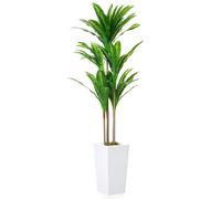 GarveeLife Plante Artificielle en Pot 147 cm avec Pot Blanc - Plante décorative d'intérieur pour la Maison, Le Bureau, Le Salon - Résistant aux intempéries - pour l'extérieur - Décoration de Porte