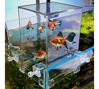 GarveeLife Tour de Poisson en Acrylique pour Aquarium - Technologie d'impression négative - Recharge Automatique de l'eau - Design Flottant Moderne - Grand récipient Transparent pour Espace de