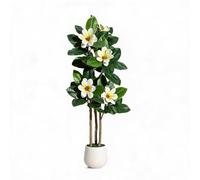 GarveeMore Grand Figuier Lyre Magnolia 150/180cm
