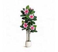 GarveeMore Grand Figuier Lyre Magnolia 150/180cm