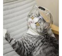 GarveeMore Protection Respirante pour Tête de Chat, en Pet, Taille Petite | Muselière Transparente Anti-Morsure Et Anti-Lichage, Design Oreilles De Chat Mignon, Idéale Pour Récupération Et Sécurité