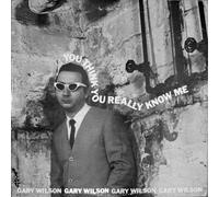 Gary Wilson - You Think You Really Know Me [Vinyl Lp]