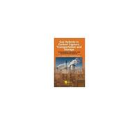 Gas Hydrate In Carbon Capture, Transportation And Storage