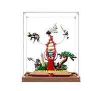 Gase d'affichage en acrylique transparent pour Le-go 21355 Knowledge is power Model, boîte transparente, boîte de rangement, boîte de présentation, compatible avec le modèle 21355 (vitrine uniquement