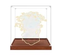 Gase d'affichage en acrylique transparent pour modèle Le-go 21318 Treehouse - Boîte de rangement transparente - Compatible avec modèle 21318 (vitrine uniquement) (3 mm)