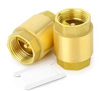GASHER 2 pièces Clapet anti-retour en laiton, filetage femelle 1/2", clapets anti-retour unidirectionnels