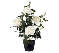 Gasper 3019010-40 Plante Artificielle en Pot en Plastique Blanc Hauteur 68 cm