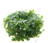 GASPER Couronne de lierre anglais avec env. 220 feuilles Ø 35 cm - plantes artificielles