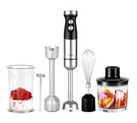 GASTROBACK #40972 Design Power Mixeur Plongeant Set 5 en 1, Argent, Noir