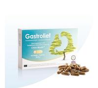 Gastrolief - Confort Digestif Quotidien | Mastic de Chios Pur, Camomille, Gingembre & Fenouil | Sans Gluten, Sans Lactose, Vegan | 30 Gélules | - Clean Label