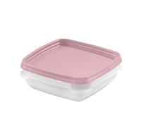 Gastromax - Lot de 6 Boîtes de Conservation Alimentaire - 0,3 L - Transparent/Rose