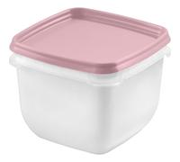 Gastromax Set De 4 Boîtes De Congélation 0,75 Litre 120x120x95 Mm