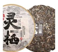 Gâteau au thé puer cru Haiwan The Gathering of Plant Spirit Thé Shen Puerh 400g