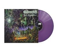 Dark Superstition Vinyle Violet Vinyle