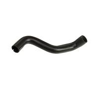 GATES 05-3067 Durite de refroidissement supérieur Compatible avec FIAT Tipo 3/5 portes 160 Tempra Berline 159 Tempra SW 159, LANCIA DEDRA 835