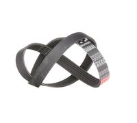 GATES 6PK1010 Courroie Poly-V