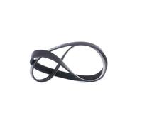 GATES 6PK1030SF Courroie Poly-V
