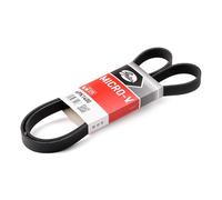 GATES 6PK1400 Courroie Poly-V