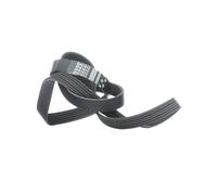 GATES 6PK1513 Courroie Poly-V