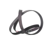 GATES 6PK1520 Courroie Poly-V