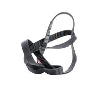 Gates Courroie Poly-V 6PK1565 noir