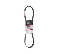 Gates Courroie trapézoïdale à nervures 6PK1715XS Noir