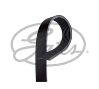 GATES Courroie Crantée Compatible Pour Ford Transit Bus 2.4 TDCi Fourgon RWD