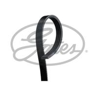 GATES Courroie Crantée Compatible Pour Ford Transit Fourgon 2.5 Di TD D Bus