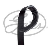 GATES Courroie Crantée Compatible Pour Honda Civic X Berline