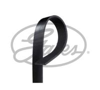 GATES Courroie Crantée Pour Dodge Ram 2500 Pick-Up BE BR 5.9 Di 8PK1660HD
