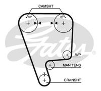 GATES Courroie Impôt-ceinture pour Honda Prélude III Ba 2.0i Ex 16V Accord CA4
