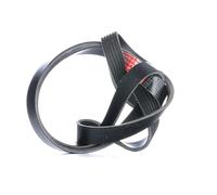 GATES - Courroie d'accessoires 6PK1550XS - Réf. 1387234