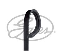 GATES Courroie Trapézoïdiale Convient pour Nissan Note 1.2 DIG-S Micra IV