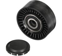 GATES DriveAlign Galet Tendeur T36248